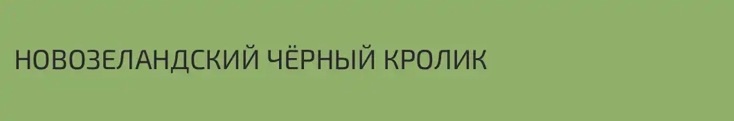НОВОЗЕЛАНДСКИЙ ЧЁРНЫЙ КРОЛИК